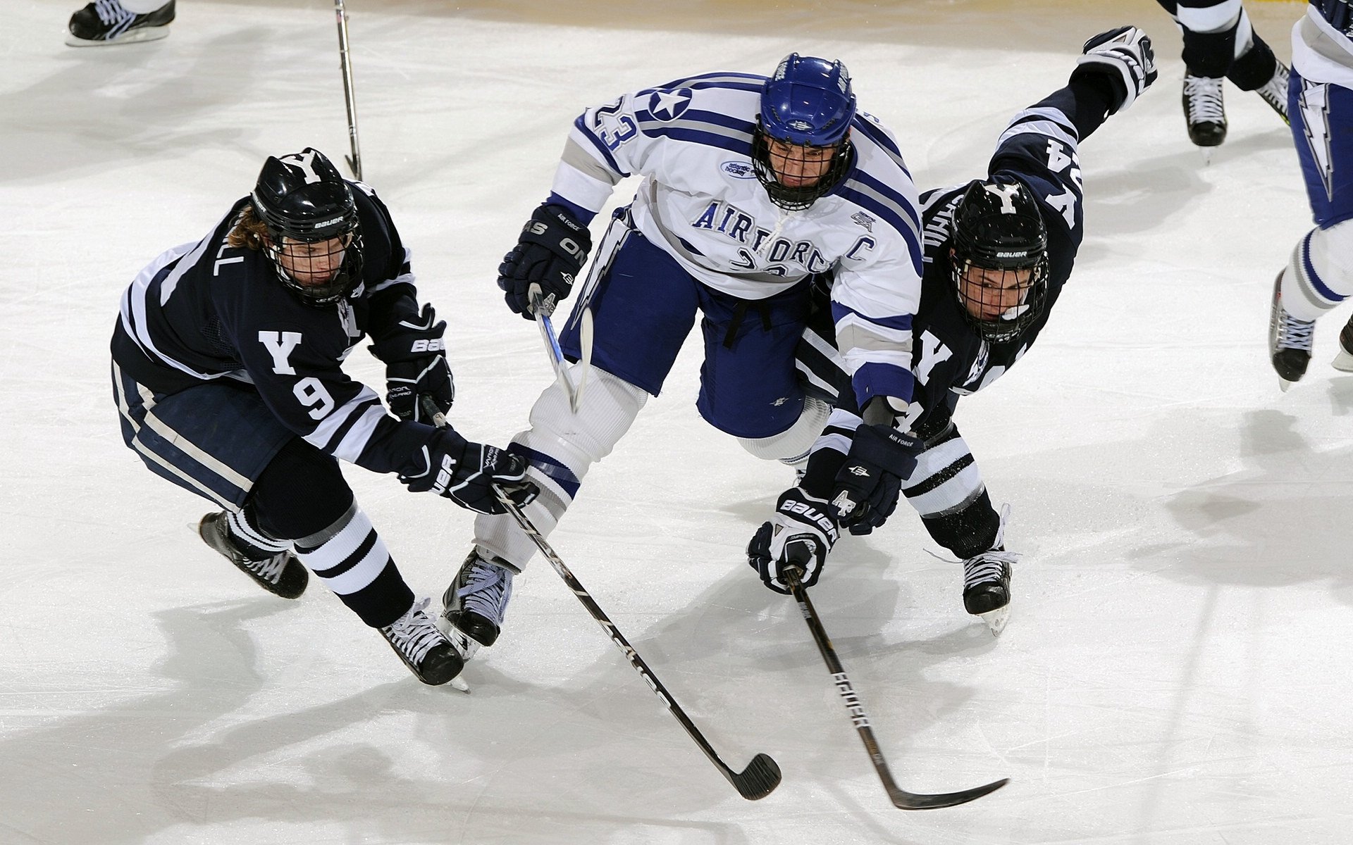 开云注册-国家体育总局批准新设九所体育专项高校试点，国家体育类院校总局